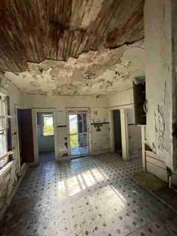 17257 bloom (32)_edited.jpg